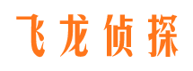 元宝山私家调查公司